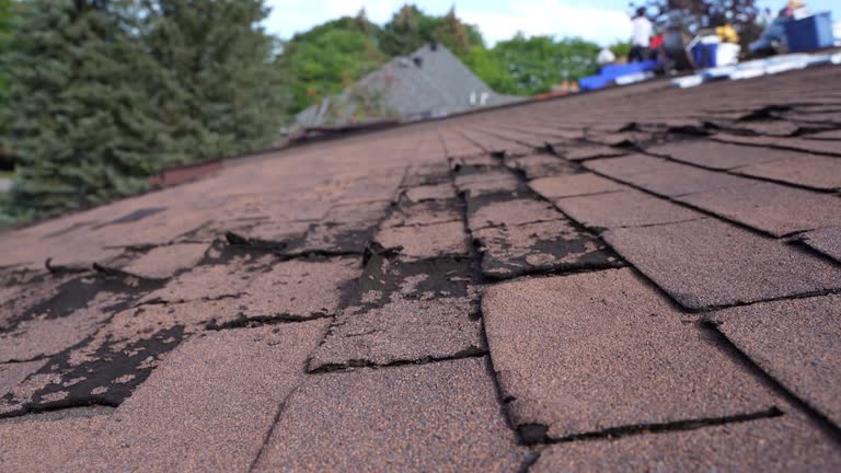 Best Sheet Metal Roofing  in Jamestown, OH