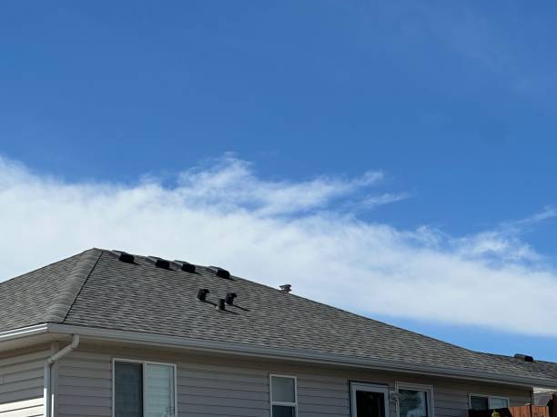 Best Roof Insulation Installation  in Jamestown, OH
